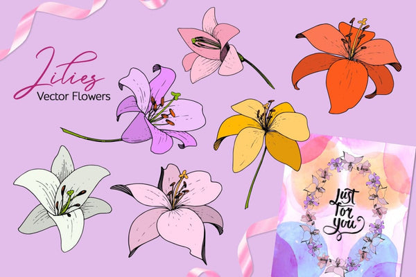 Lilies Vector Collection Digital
