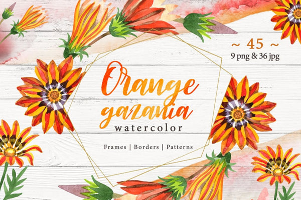 Living Coral Watercolor Bundle 16 products in 1 Bundle
