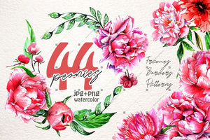Lovely Pink Peony Png Watercolor Set Digital