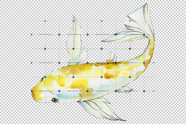 Magic Gold Fish Watercolor Png Flower