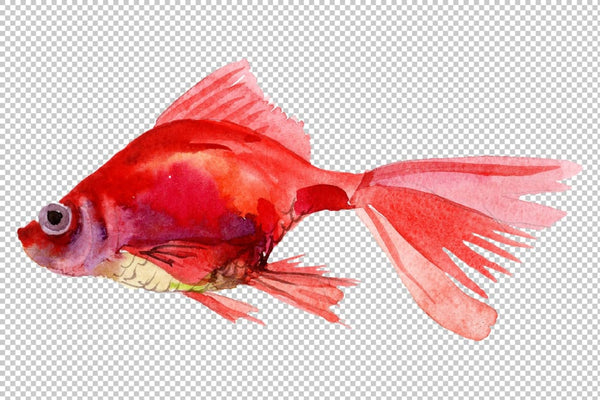 Magic Gold fish Watercolor png Flower
