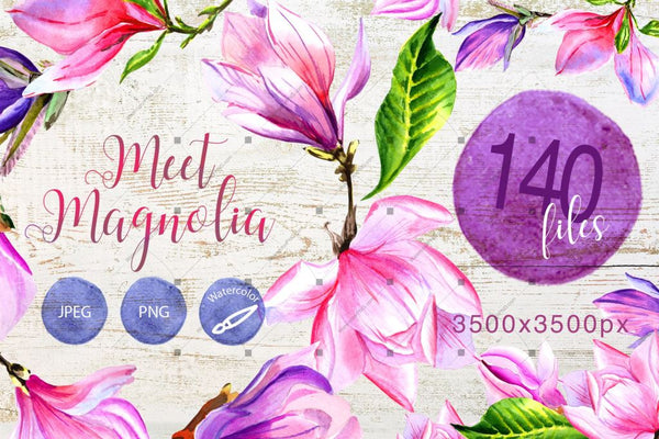 Meet Magnolia Png Watercolor Flower Set Digital
