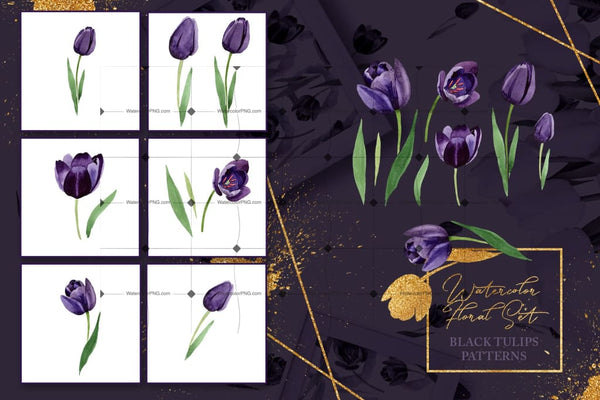 Mysterious Black Tulips In 44 Petals Digital