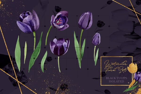 Mysterious Black Tulips In 44 Petals Digital