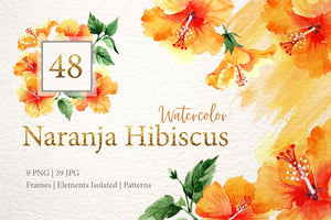 Naranja hibiscus Digital