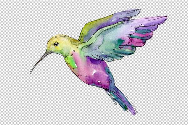 Nature world bird hummingbird watercolor png Flower