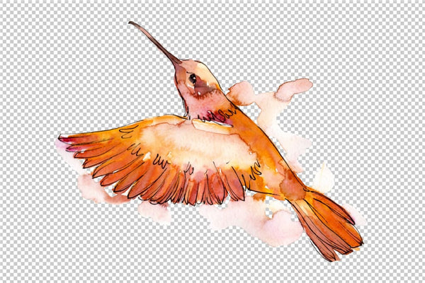 Nature world bird hummingbird watercolor png Flower