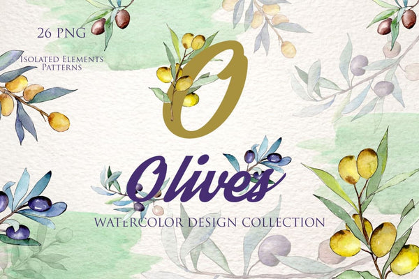 Olive branch green watercolor PNG Digital