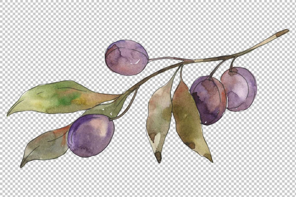 Olives 3 Watercolor png Flower