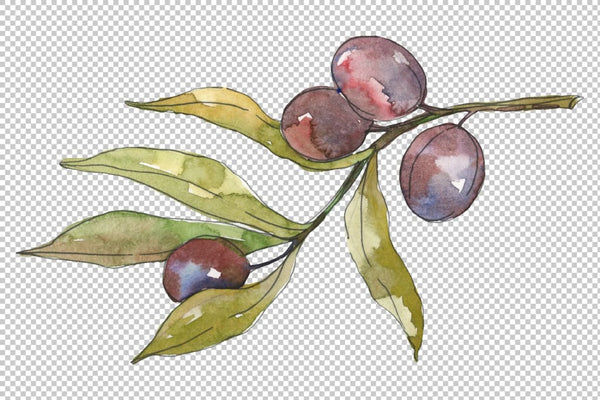 Olives Watercolor png Flower