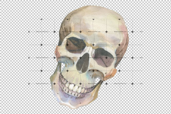 One Skull Png Watercolor Set Digital