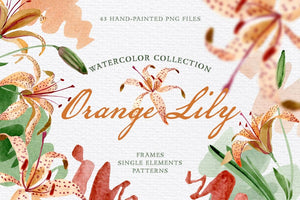Orange lily Watercolor png Digital