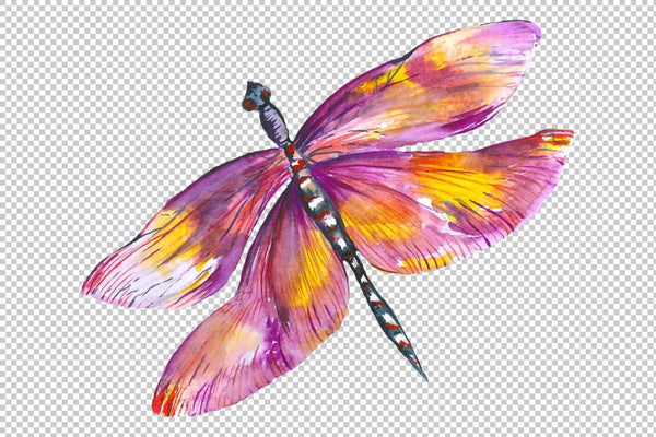 Original dragonfly blue watercolor png Flower