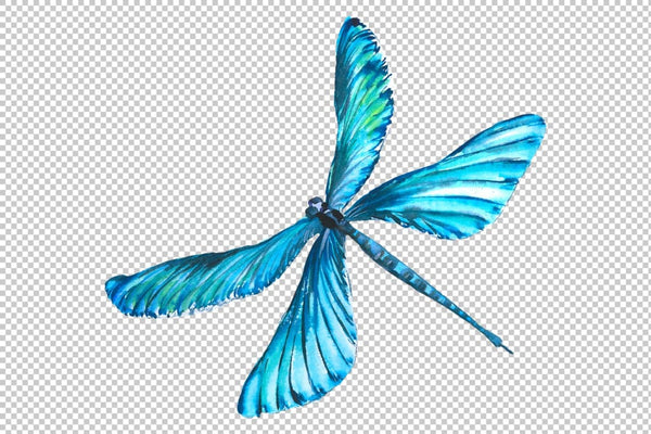 Original dragonfly blue watercolor png Flower