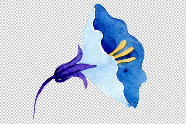 Ornament floral blue watercolor png Flower