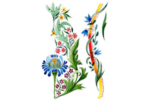 Ornament floral Riddle watercolor png Flower