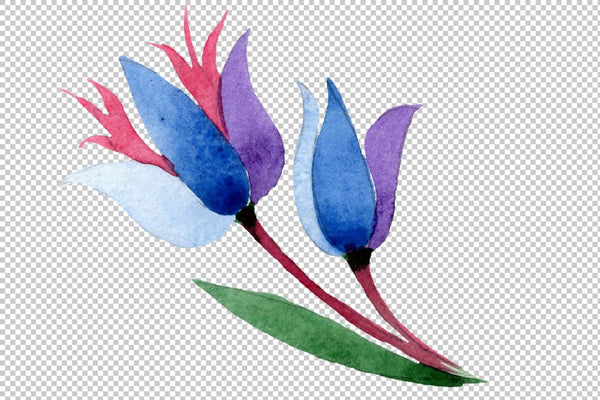 Ornament in classic watercolor style png Flower