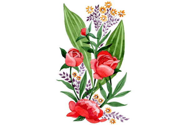 Ornament red free Ukraine watercolor png Flower