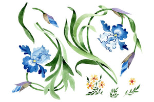 Ornament with irises Watercolor png Flower