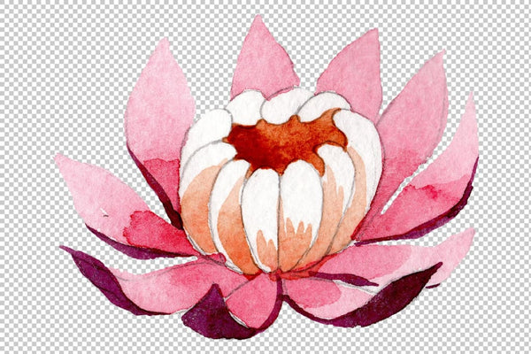 Ornament with lotus Watercolor png Flower