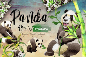 Panda Wild Animal Png Watercolor Set Digital