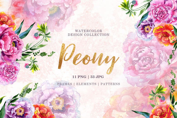 Peony red and pink Watercolor png Digital