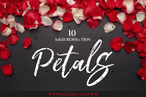Petals Roses Jpg Set Digital