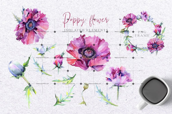 Pink 47 Poppies Clipart Drawings Digital