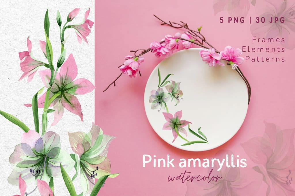 Pink amaryllis Watercolor png Digital