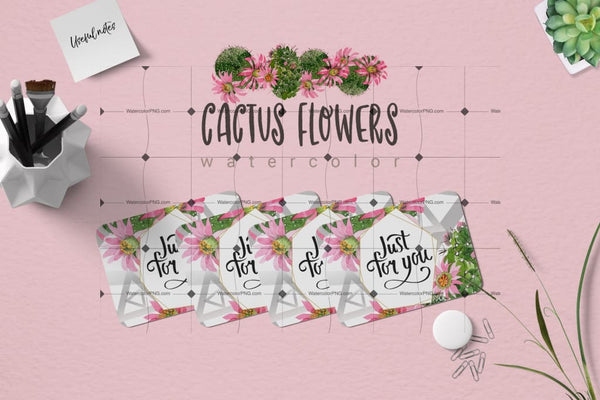 Pink Cactus Flowers Png Clipart Digital
