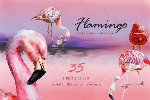 Pink flamingos on green Digital