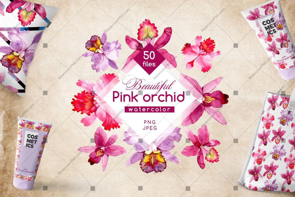 Pink Orchid Png Watercolor Flower Set Digital
