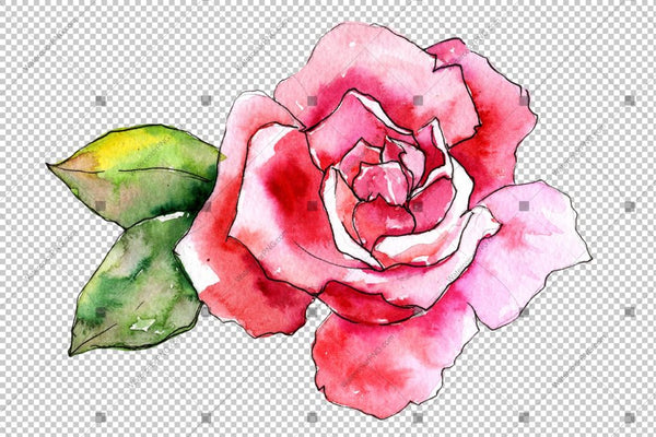 Pink Rose Wildflower Flower In A Hand-Drawn Watercolor Png Style Isolated Flower