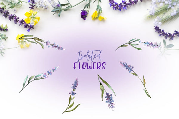 Plant lavender purple watercolor png Digital