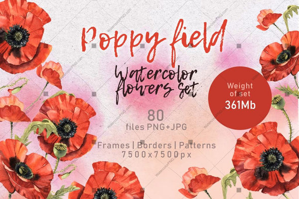 Poppy Field Png Watercolor Set Digital
