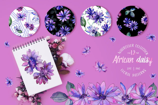 Purple african daisy Watercolor png Digital