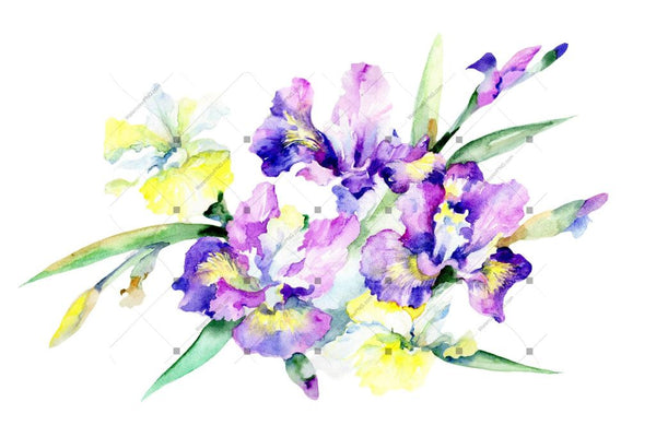 Purple Bouquet Flowers Png Watercolor Set Digital