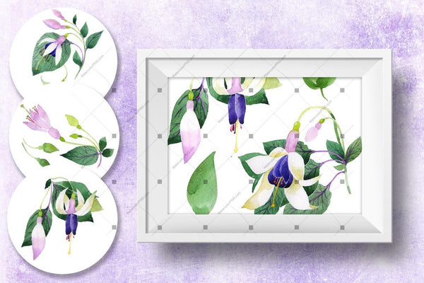 Purple Fuchsia Png Watercolor Flower Set Digital