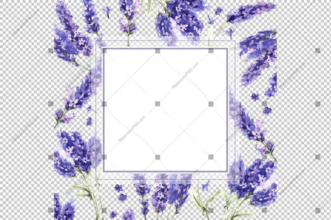 Purple Lavender Flowers Frame Png Watercolor Design
