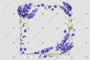 Purple Lavender Flowers Frame Watercolor Png Design