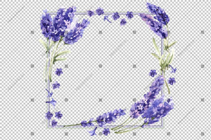 Purple Lavender Watercolor Png Frame Flowers Design