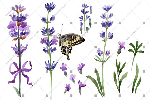 Purple Lavender With Butterfly Flowers Watercolor Png Flower
