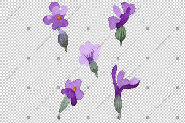 Purple Lavender With Butterfly Flowers Watercolor Png Flower