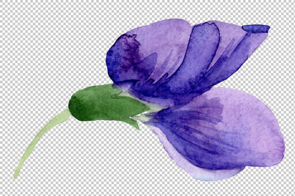 Purple sweet pea flower Watercolor png Flower