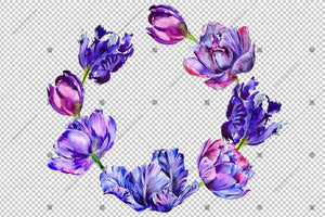 Purple Tulip Frame Flowers Watercolor Png Design