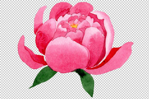 Raspberry red peonies flower watercolor png Flower