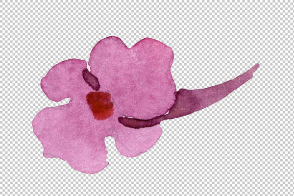Red Lantana Watercolor png Flower