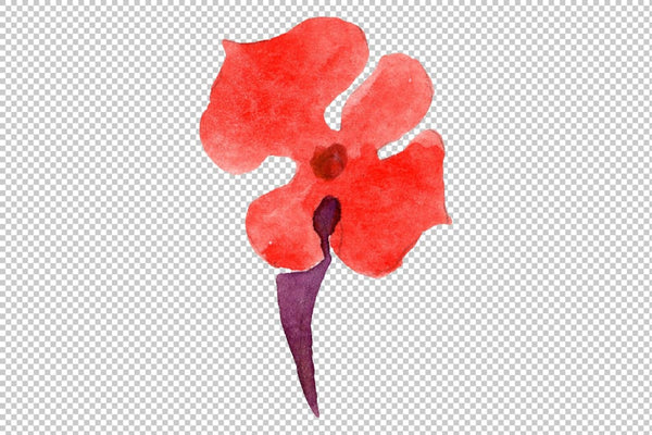 Red Lantana Watercolor png Flower