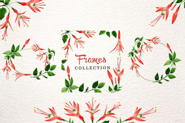 Red orchid flower Watercolor png Digital