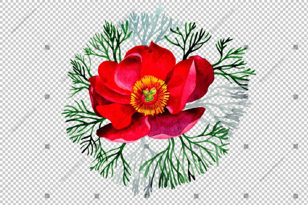 Red Peony Herbaceous Watercolor Flower Png Flower